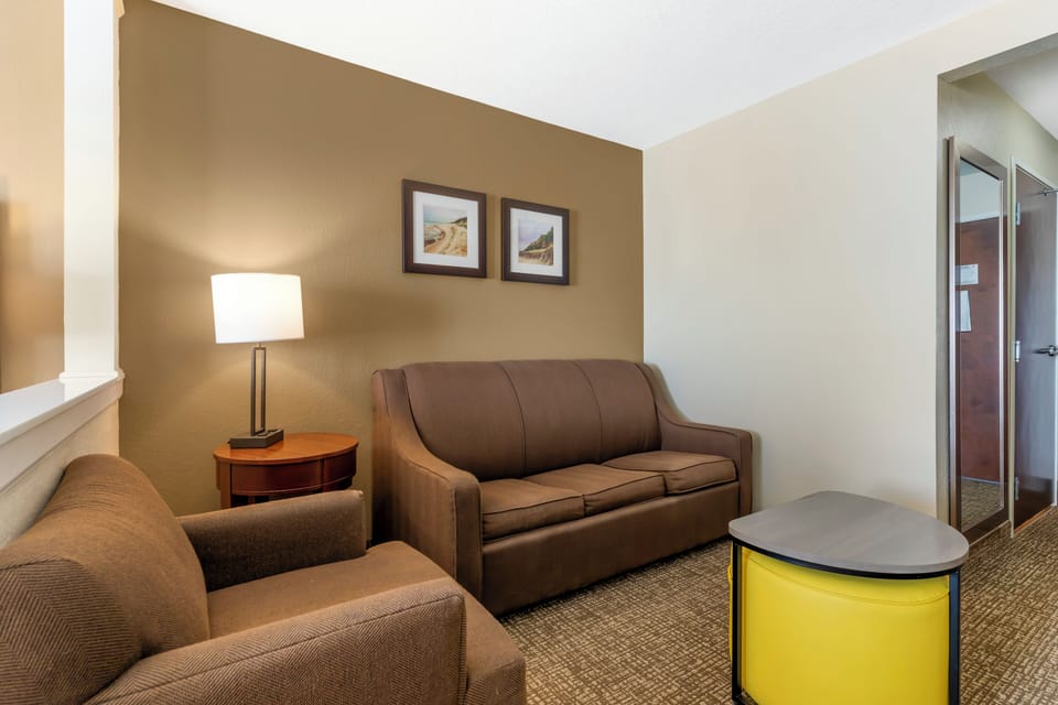 Suite, 1 King Bed with Sofa bed, Accessible, Non Smoking (Roll-In Shower) | Desk, iron/ironing board, cribs/infant beds, rollaway beds