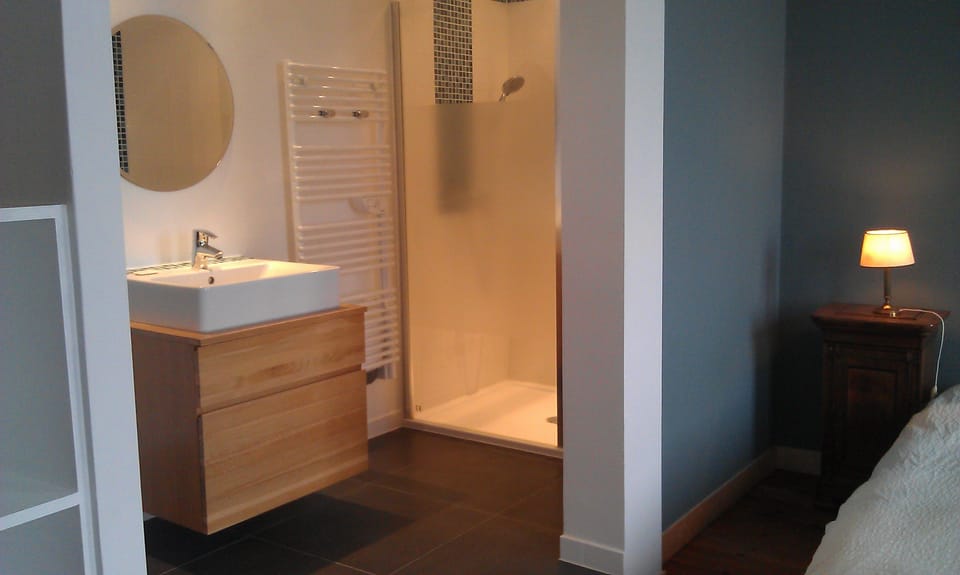 Double or Twin Room | Bathroom | Shower, rainfall showerhead, free toiletries, hair dryer