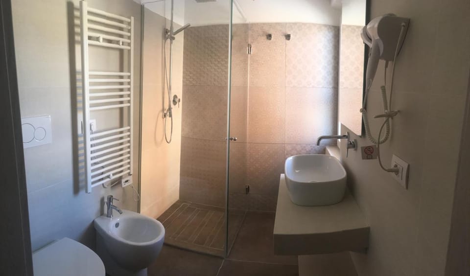 Shower, hair dryer, bidet, towels