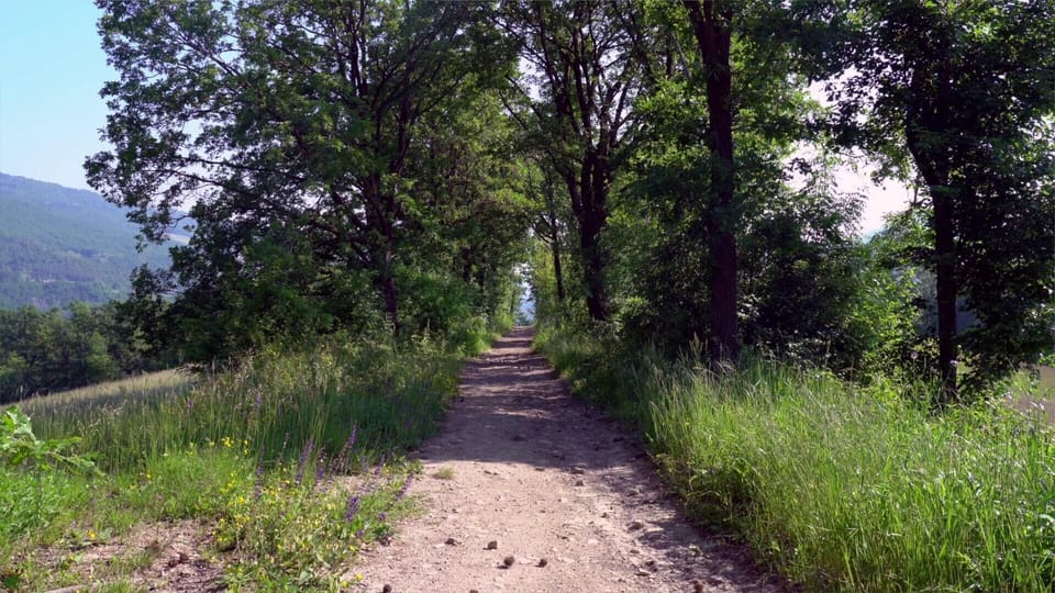 Hiking