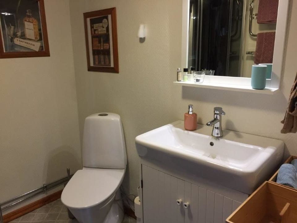Shower, hydromassage showerhead, free toiletries, towels