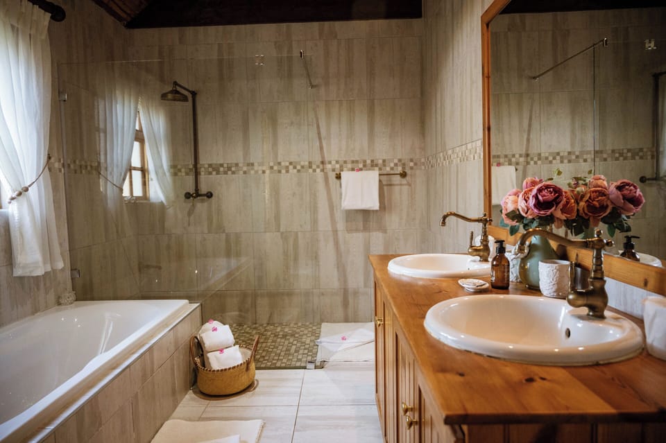 Deluxe Suite | Bathroom | Hair dryer, towels, soap, shampoo
