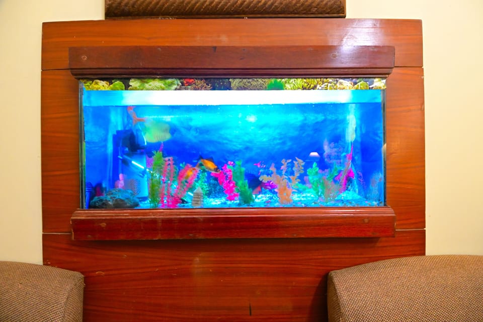 Suite Room with Fish Aquarium | Minibar, blackout drapes, soundproofing, free WiFi
