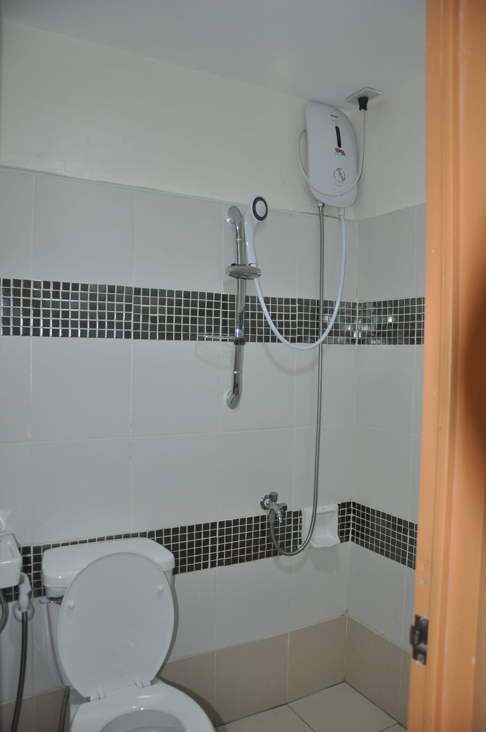 Shower, hair dryer, slippers, bidet