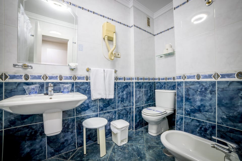 Bathtub, hair dryer, bidet, towels