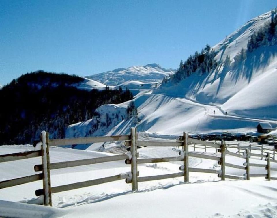 Snow and ski sports