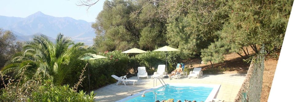 Seasonal outdoor pool, pool umbrellas, sun loungers