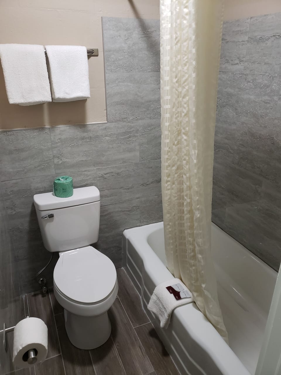 Standard Room, 1 King Bed, Non Smoking | Bathroom | Hair dryer, towels