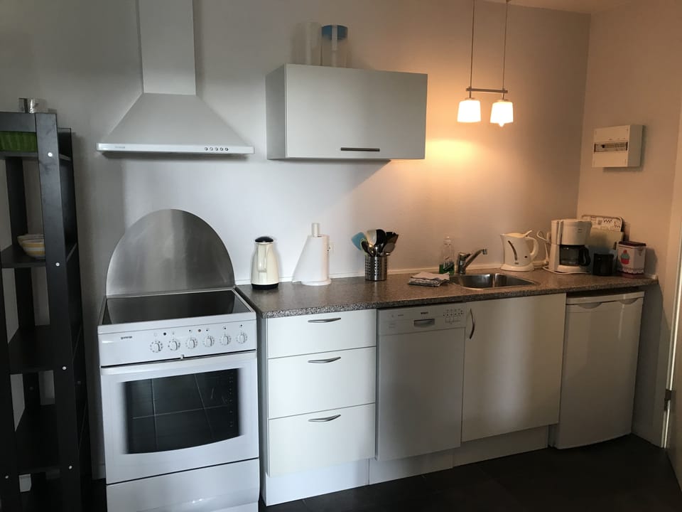 Apartment, 1 Bedroom, Garden View (4 Voksne ) | Private kitchen | Fridge, microwave, oven, stovetop