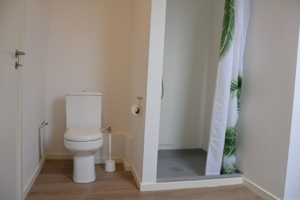 Double Room | Bathroom | Shower, hair dryer, towels, soap