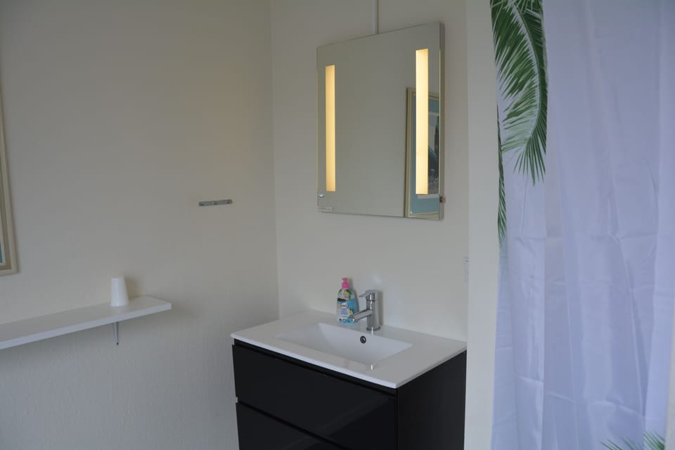 Double Room | Bathroom | Shower, hair dryer, towels, soap