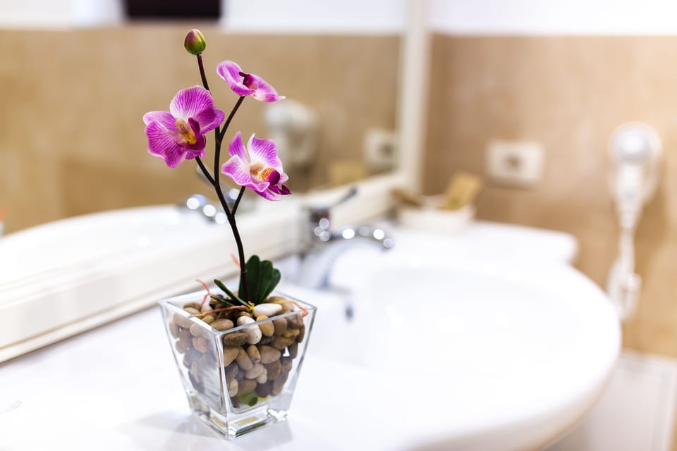 Double Room (4*) | Bathroom | Shower, rainfall showerhead, free toiletries, hair dryer