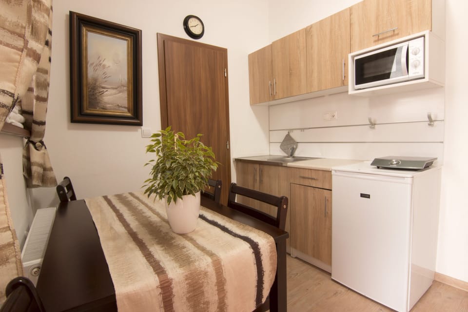 Classic Studio | Private kitchen | Fridge, microwave, stovetop, coffee/tea maker