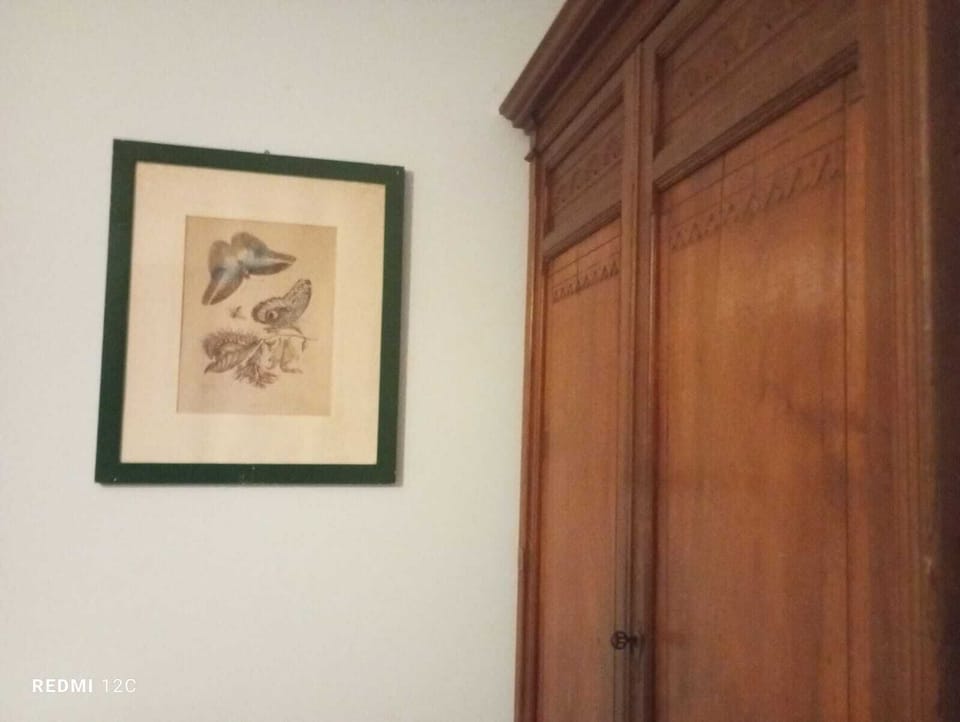 Camera familiare vista giardino | Free WiFi, bed sheets