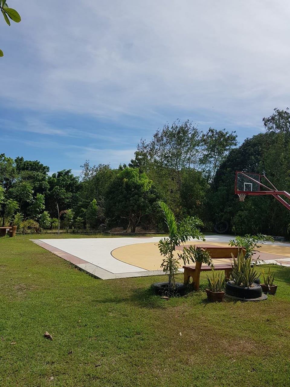 Basketball court