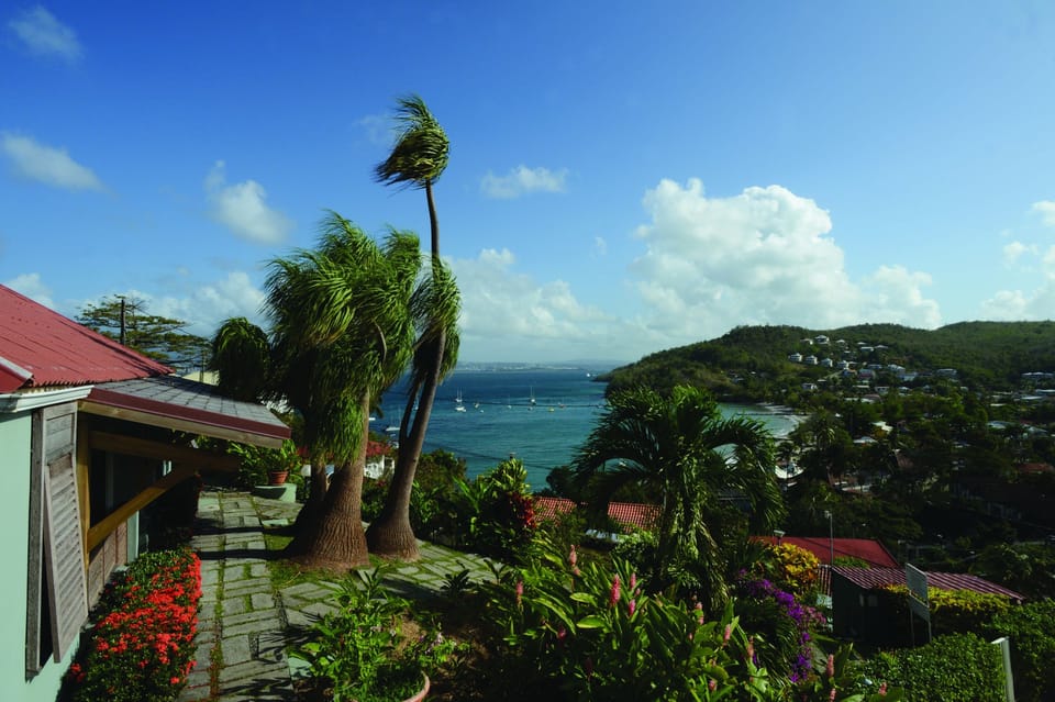 View from property