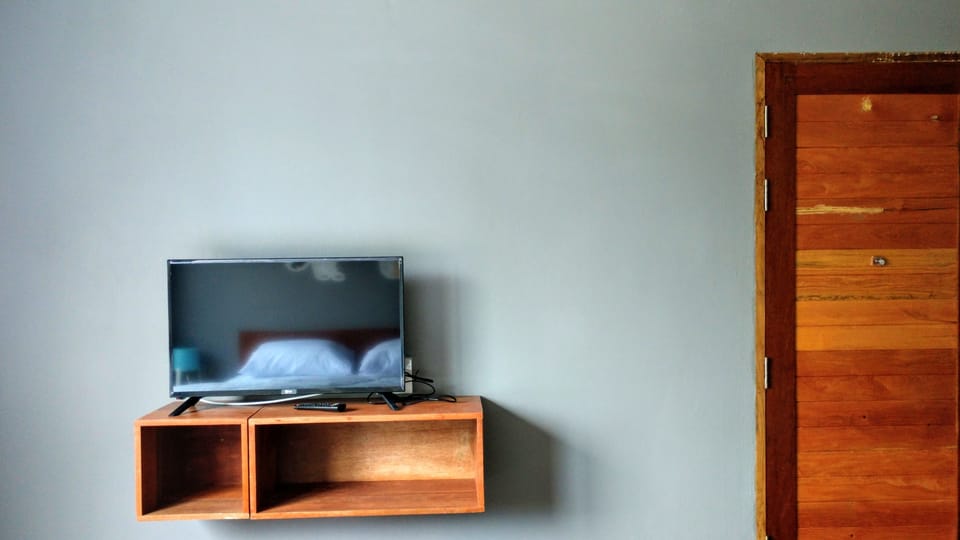Television