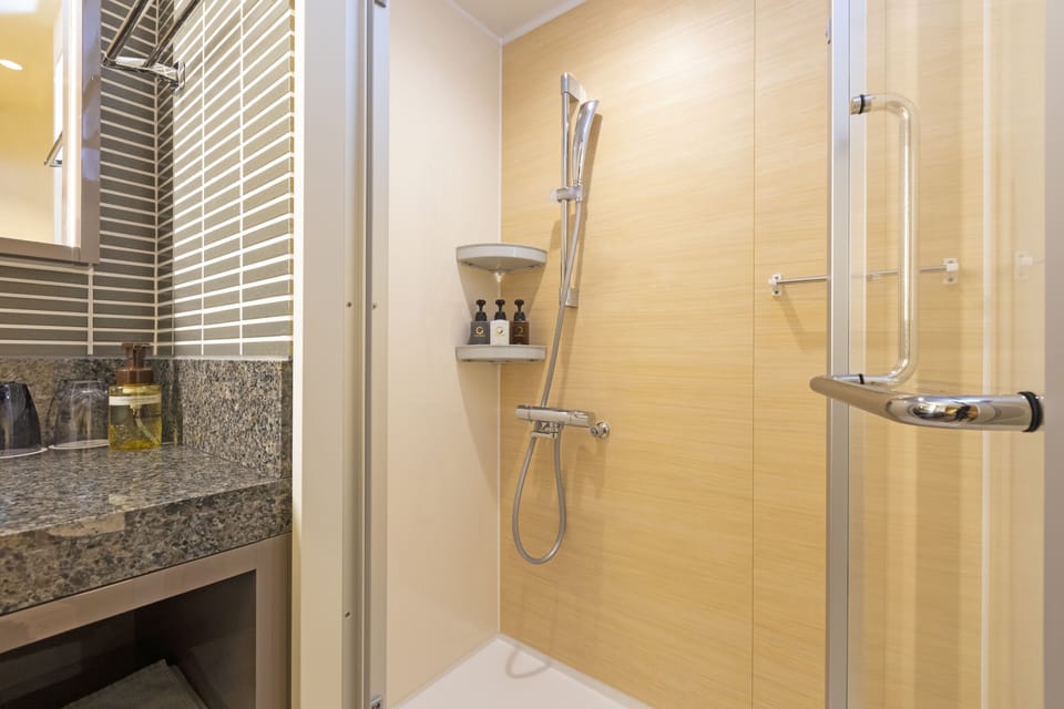 Combined shower/tub, hair dryer, slippers, electronic bidet