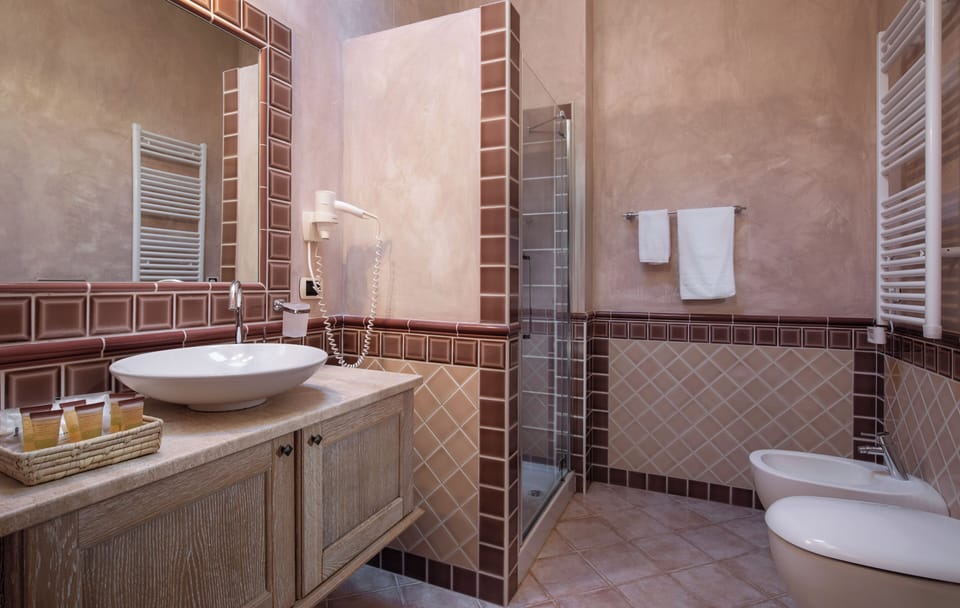 Shower, free toiletries, hair dryer, bidet