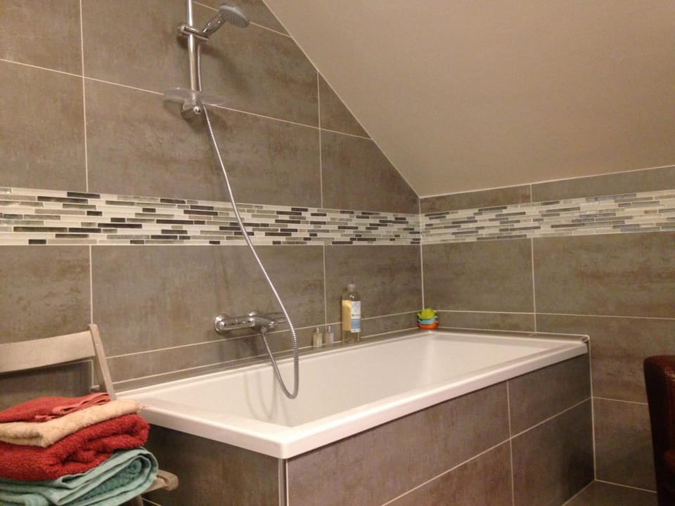 Combined shower/tub, free toiletries, hair dryer, towels