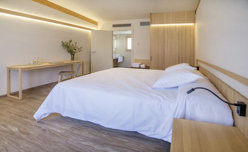 Double Room, Terrace, Mountain View | In-room safe, desk, blackout drapes, soundproofing