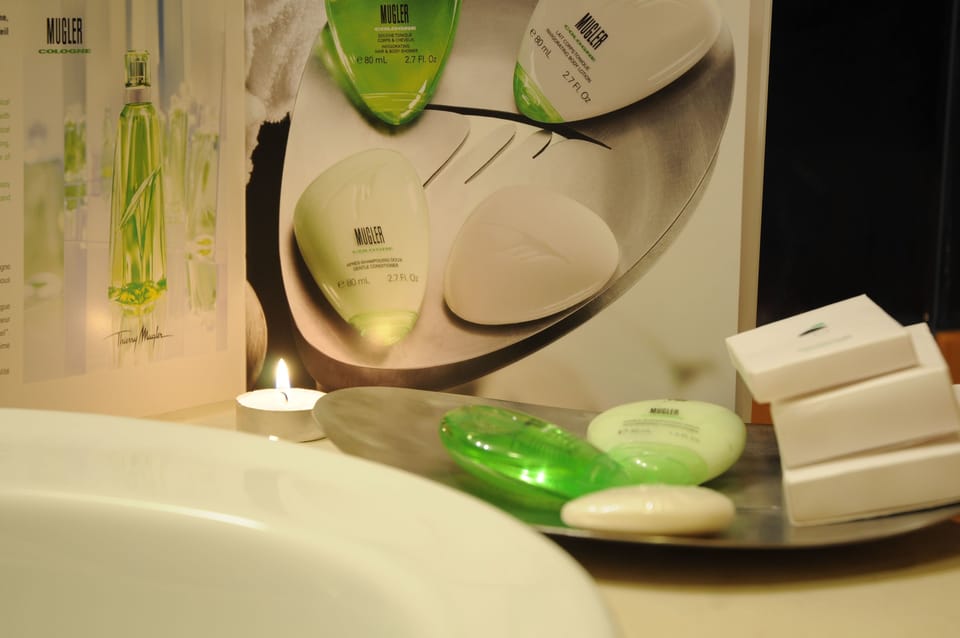 Rainfall showerhead, free toiletries, hair dryer, bidet