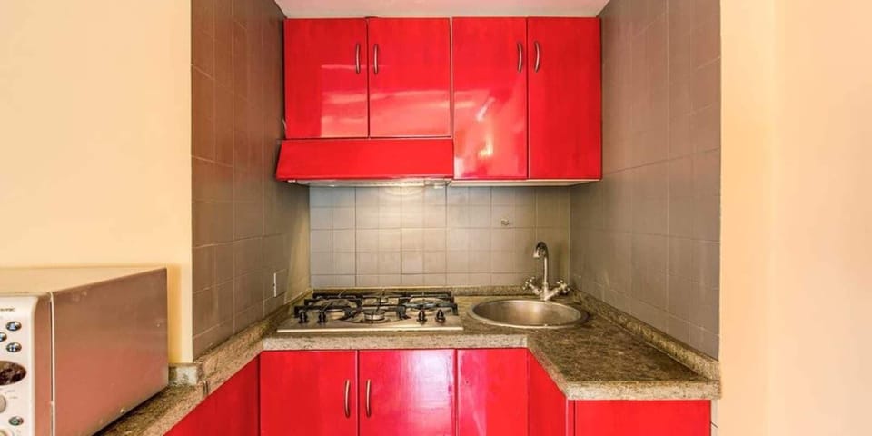 Apartment, 1 Bedroom, Terrace | Private kitchenette | Fridge, microwave, stovetop, dishwasher