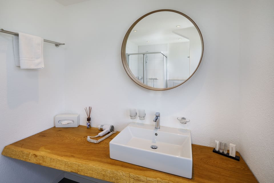 Double Room | Bathroom | Free toiletries, hair dryer, bathrobes, towels