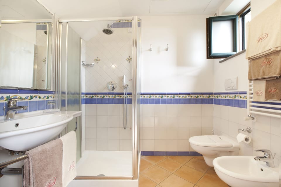 Deluxe Room | Bathroom | Shower, rainfall showerhead, free toiletries, hair dryer