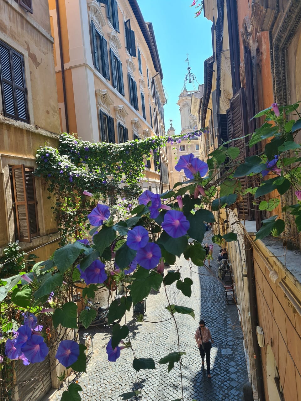 View from property