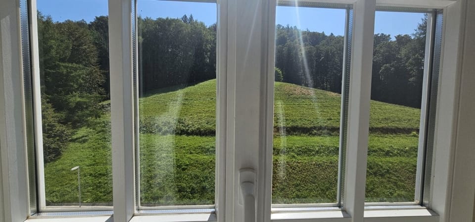 Premium Quadruple Room | View from room