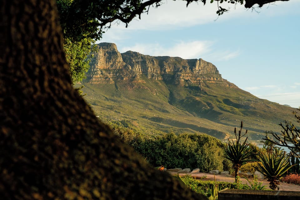 Land view from property