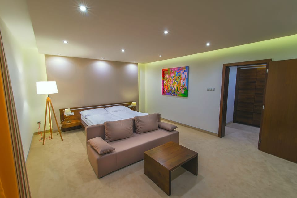 Comfort Double Room | Living room