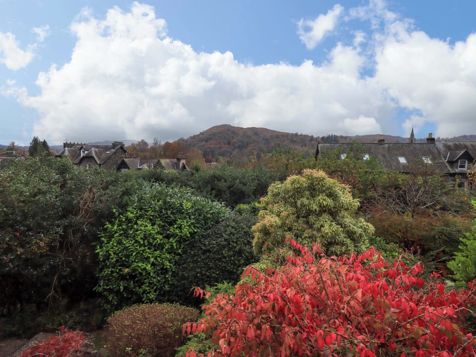 Cottage | Miscellaneous