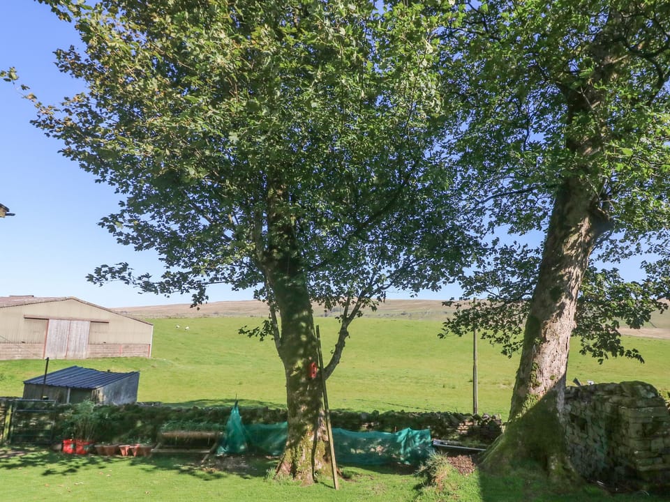 Cottage | Property grounds