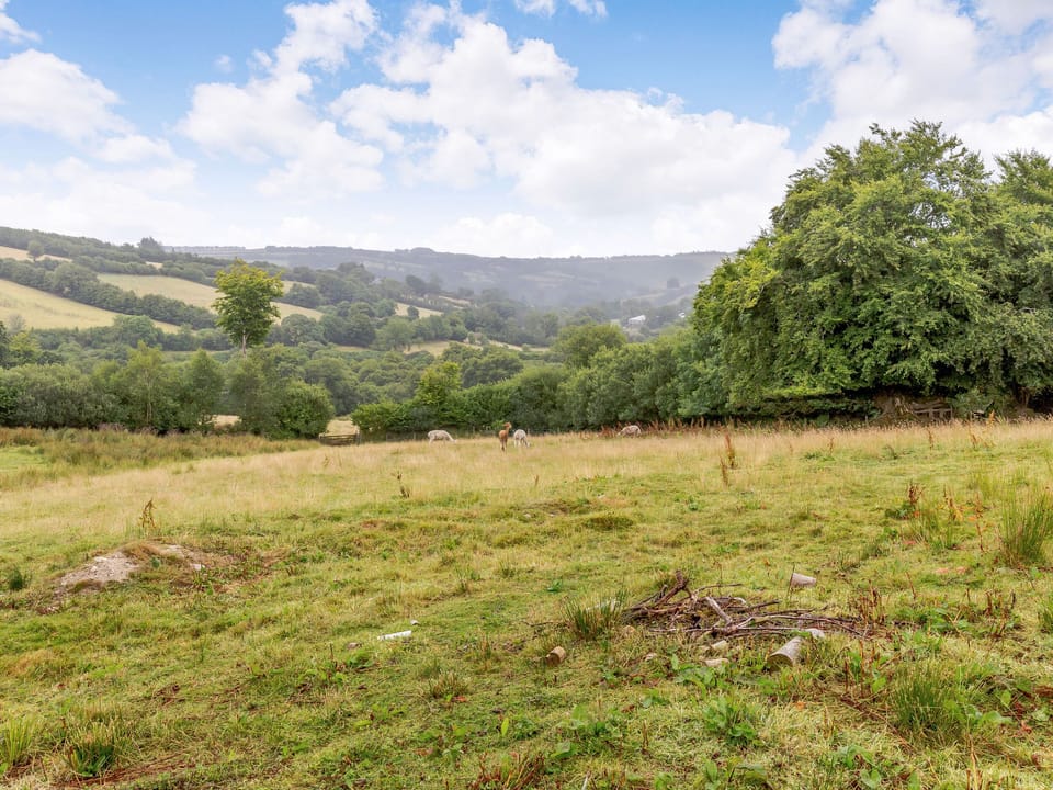 Cottage | Property grounds