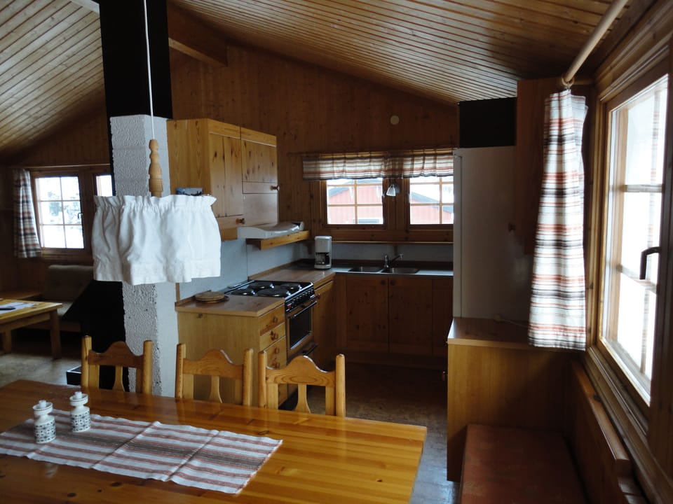 Cabin | Private kitchen | Coffee/tea maker, full-size fridge, microwave, oven