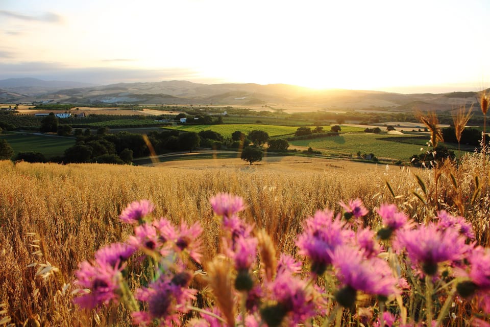 Land view from property