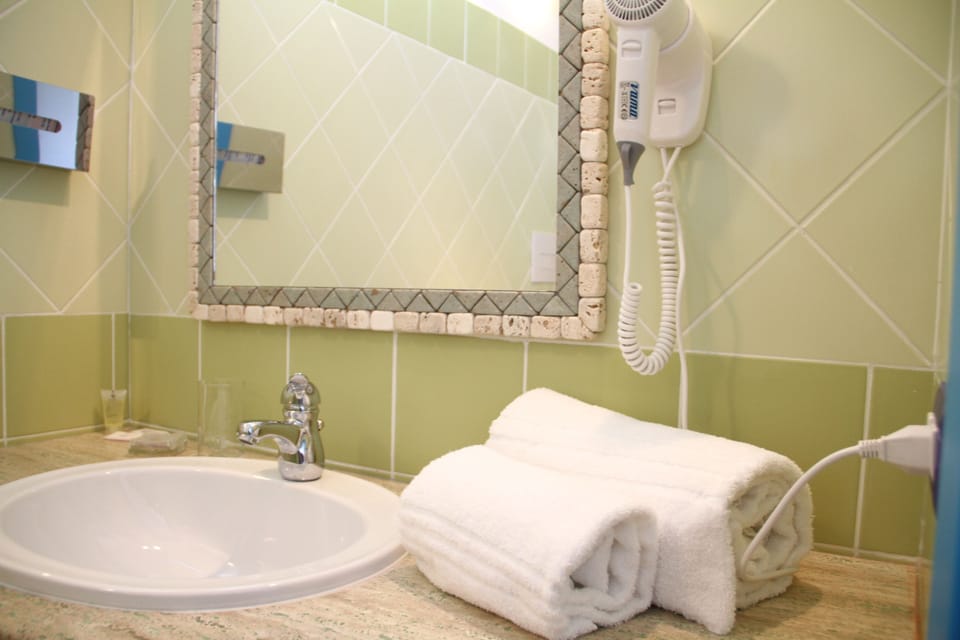 Shower, free toiletries, hair dryer, bidet