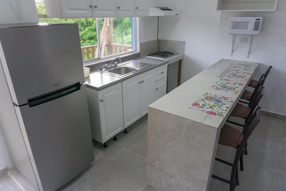 Full-size fridge, microwave