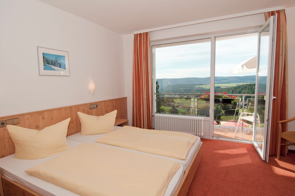 Superior Double Room | View from room