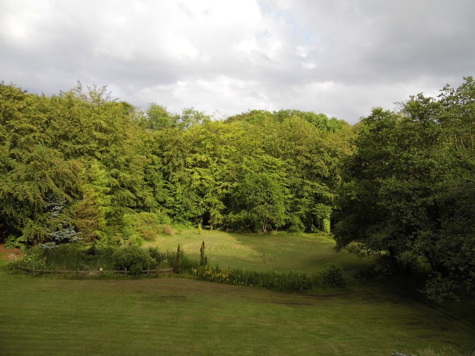 Superior Double or Twin Room (Room 1) | Garden view