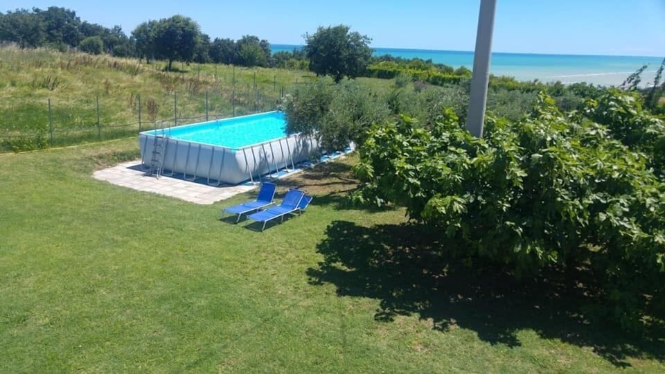 Outdoor pool, sun loungers