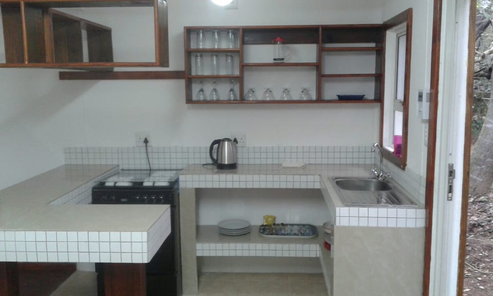 Cottage (Hendrik's ) | Private kitchenette | Fridge, microwave, electric kettle, cleaning supplies