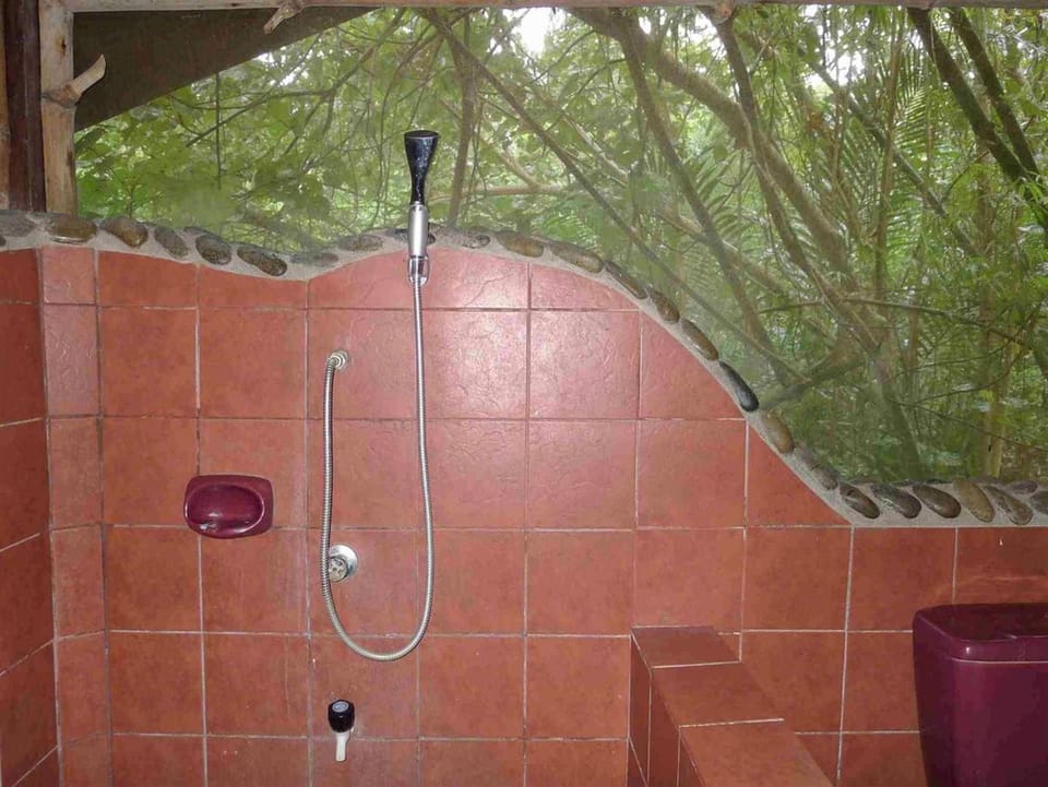Duplex Family Room, Balcony | Bathroom shower
