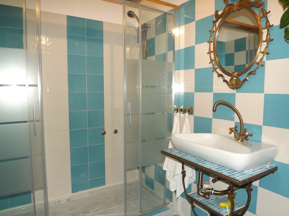 Shower, free toiletries, hair dryer, bidet