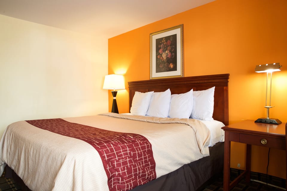 Economy Single Room, 1 King Bed, Non Smoking | Desk, free WiFi, bed sheets