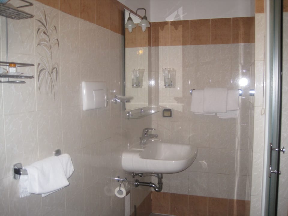 Shower, free toiletries, hair dryer, bidet