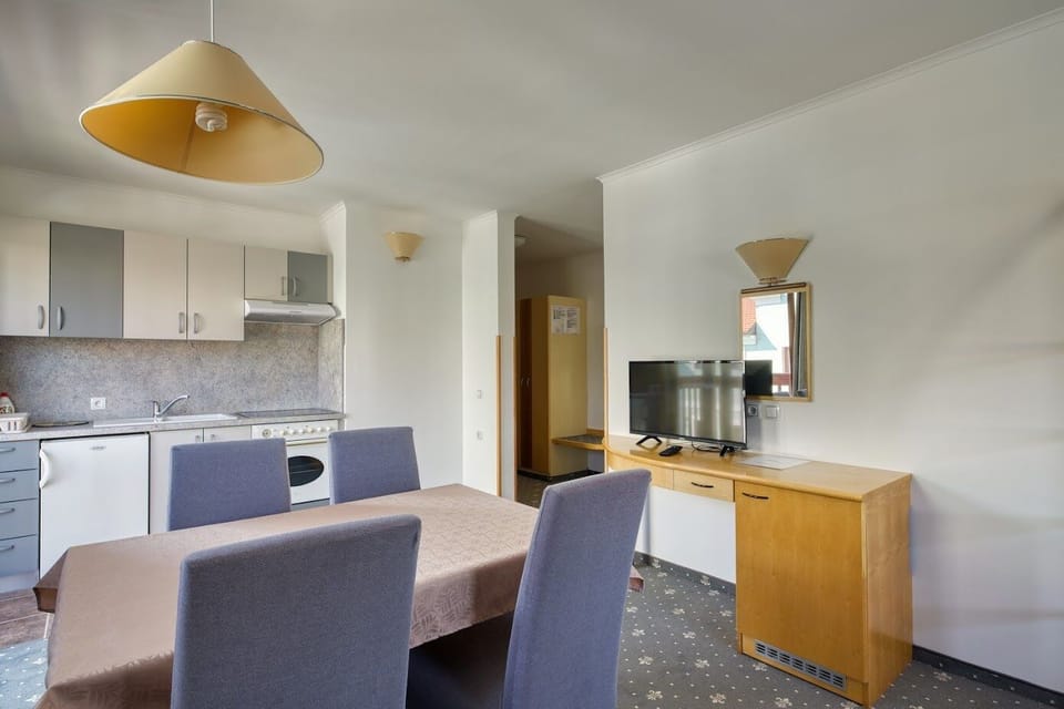 Family Apartment | Private kitchen | Full-size fridge, microwave
