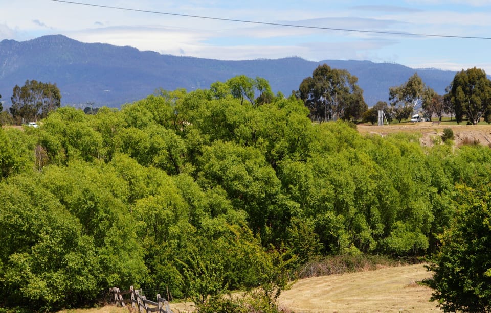 Luxury Cottage, 1 King Bed, Hill View | Mountain view